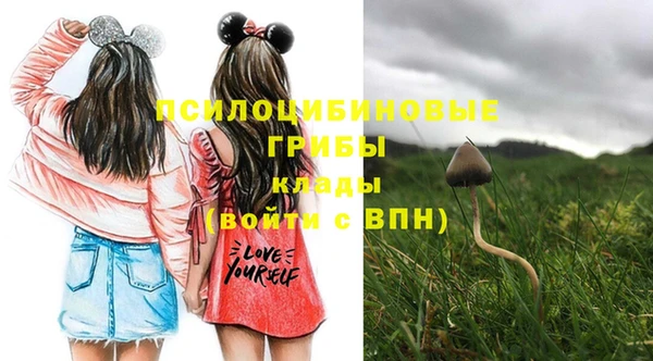 каннабис Чердынь